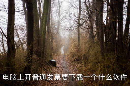 網(wǎng)絡(luò)開票需要下載什么軟件下載，電腦打發(fā)票是不是要下載一個(gè)什么軟件