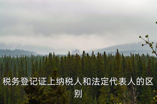 納稅人法定人是什么意思，稅務登記證上納稅人和法定代表人的區(qū)別