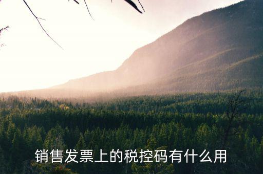 發(fā)票稅控碼是什么，國(guó)稅發(fā)票稅控碼