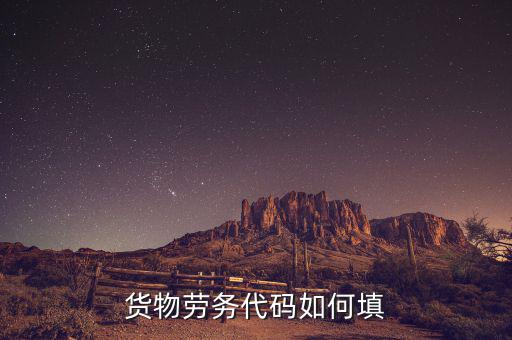 貨物勞務(wù)代碼是什么，貨物勞務(wù)代碼如何填
