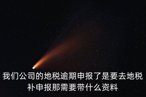 逾期申報(bào)需要帶什么資料，我們公司的地稅逾期申報(bào)了是要去地稅補(bǔ)申報(bào)那需要帶什么資料