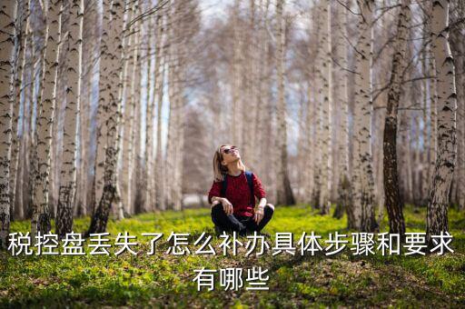 稅控盤丟失為什么要報(bào)案嗎，稅控盤丟失怎么處理