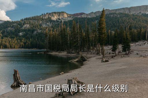 市國(guó)稅局局長(zhǎng)是什么級(jí)別，地級(jí)市的國(guó)稅局局長(zhǎng)是什么干部
