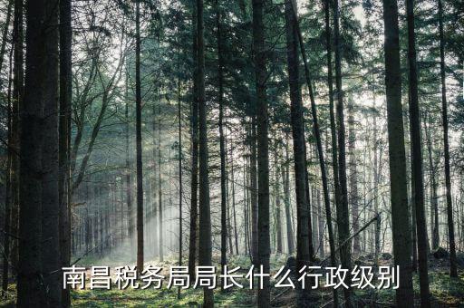 稅務(wù)局局長是什么級別，金河鎮(zhèn)稅務(wù)務(wù)局局長是什么級別