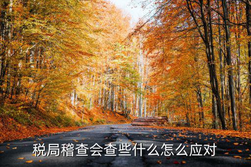 發(fā)票稽查查什么，稅局稽查會(huì)查些什么怎么應(yīng)對(duì)