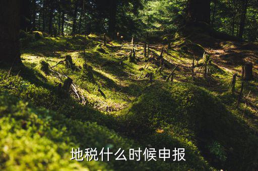 地稅上面基金申報(bào)是指什么時(shí)候，地稅什么時(shí)候申報(bào)
