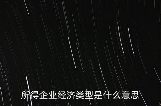 所得項目是什么意思，所得企業(yè)經(jīng)濟類型是什么意思