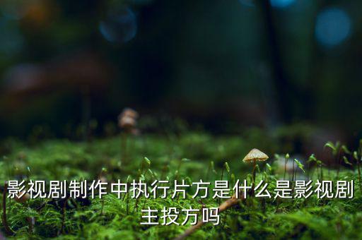 什么是分立主導(dǎo)方，股權(quán)分立是什么意思