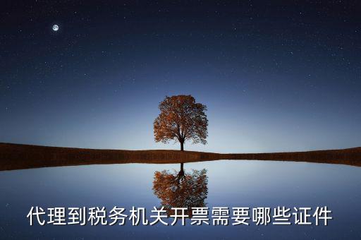 國(guó)稅代理開票需要什么，代開普通國(guó)稅發(fā)票要什么資料