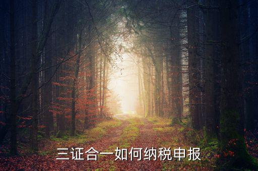 三證合一用什么報稅，三證合一如何納稅申報