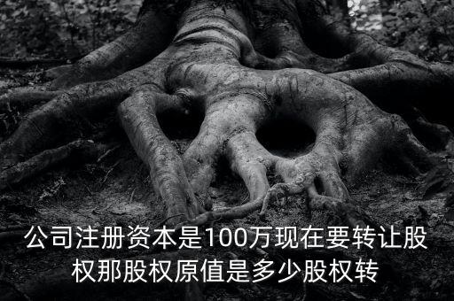 股權(quán)原值是什么意思，公司注冊(cè)資本是100萬(wàn)現(xiàn)在要轉(zhuǎn)讓股權(quán)那股權(quán)原值是多少股權(quán)轉(zhuǎn)