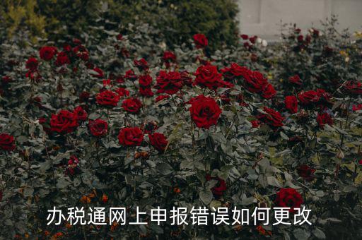 更改辦稅人什么網(wǎng)站，國稅變更財務(wù)人員在哪里變更稅控盤上可以更改嗎