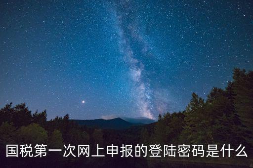國稅登錄賬號密碼是什么意思，國稅第一次網上申報的登陸密碼是什么