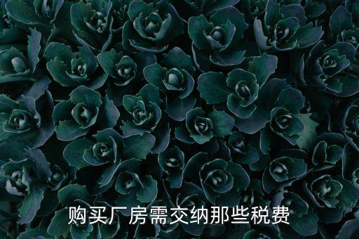 個人買廠房交什么稅，請問在重慶購買一手廠房需要交納那些稅費具體稅率是多少注