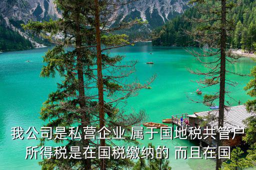 我公司是私營(yíng)企業(yè) 屬于國(guó)地稅共管戶(hù)所得稅是在國(guó)稅繳納的 而且在國(guó)