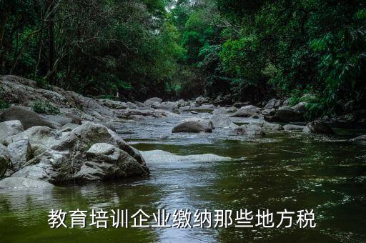 教育培訓(xùn)班要交什么稅，教育培訓(xùn)企業(yè)繳納那些地方稅