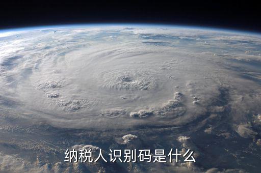 納銳人識別號是什么，納稅人識別碼是什么