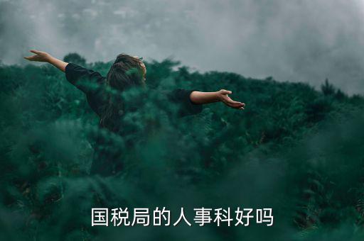 國稅人事科做什么，縣國稅局的人事歸哪里管基層分局的級別