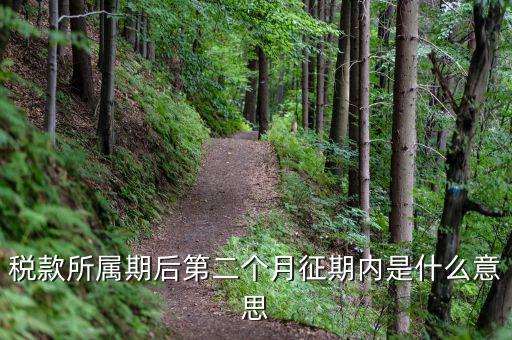 11月份征期是什么意思，稅款所屬期后第二個(gè)月征期內(nèi)是什么意思