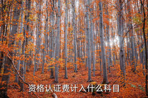 認(rèn)證服務(wù)費(fèi)什么，申請(qǐng)微信公眾賬號(hào)認(rèn)證服務(wù)費(fèi)什么意思