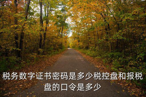 寧波國稅ca密碼是什么，寧波市電子稅務局登陸密碼