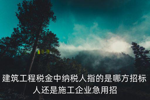 施工單位相關(guān)稅源是指什么，建筑業(yè)地稅稅源編號指的是啥
