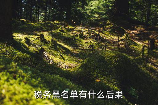 稅收黑名單制度是什么，關(guān)于上了稅務(wù)黑名單影響出境嗎