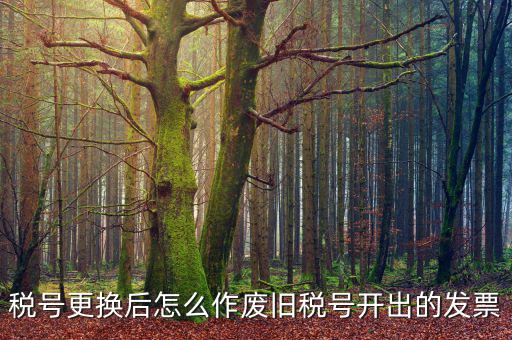 變稅號(hào)需要做什么，稅號(hào)更換后怎么作廢舊稅號(hào)開(kāi)出的發(fā)票