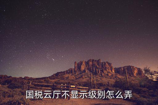 國稅為什么不叫 廳，國稅報(bào)稅問題