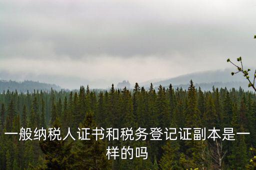 一般納稅人證書(shū)和稅務(wù)登記證副本是一樣的嗎