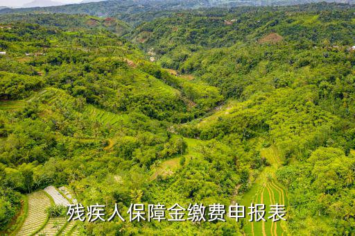 繳納殘疾人保障金 什么是104報(bào)表，什么叫104表