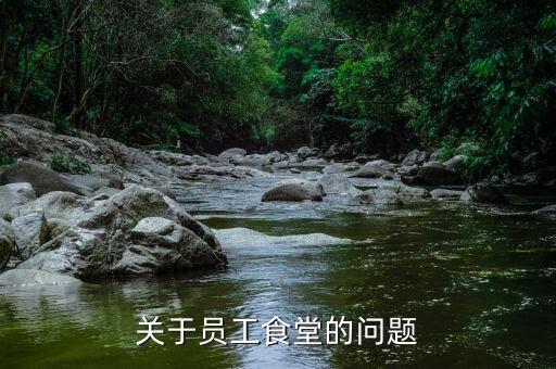 為什么國(guó)稅局有食堂，為什么高校食堂只免三年的增值稅