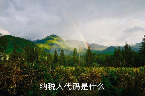 個(gè)人納稅人代碼是什么，納稅人代碼是什么