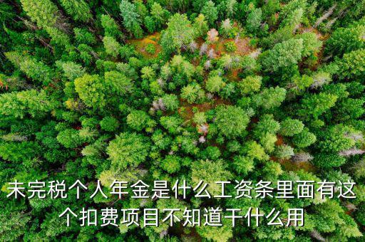 未完稅個人年金是什么工資條里面有這個扣費(fèi)項目不知道干什么用