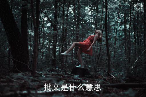 稅收個案批復(fù)是什么意思，批文是什么意思