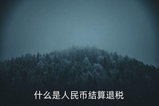 匯算結(jié)算退稅是什么，什么是人民幣結(jié)算退稅