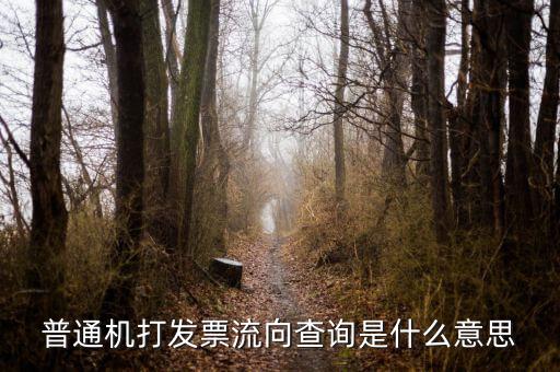 開票查詢統(tǒng)計包括什么意思，開票軟件里面發(fā)票管理發(fā)票余額管理點了統(tǒng)計出現(xiàn)這個限額是什