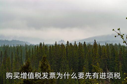 為什么要買進(jìn)項(xiàng)票，購(gòu)買增值稅發(fā)票為什么要先有進(jìn)項(xiàng)稅