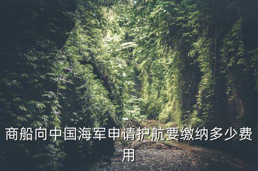 商船向中國海軍申請護(hù)航要繳納多少費(fèi)用