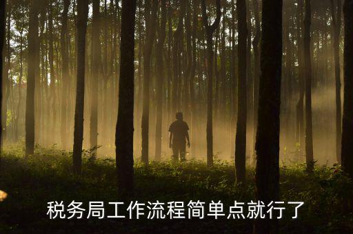 稅務(wù)局上班要什么手續(xù)，稅務(wù)局工作流程簡單點就行了