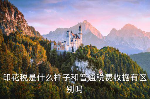 稅花什么樣，印花稅是什么樣子和普通稅費(fèi)收據(jù)有區(qū)別嗎