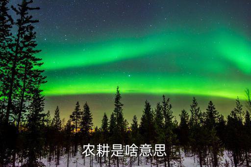 農(nóng)業(yè)機(jī)耕是什么意思，東機(jī)耕是什么