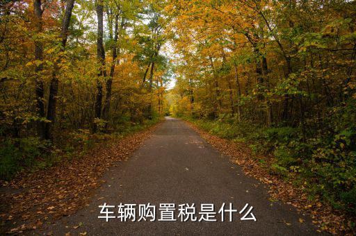 車購稅資金是什么，購置稅是什么
