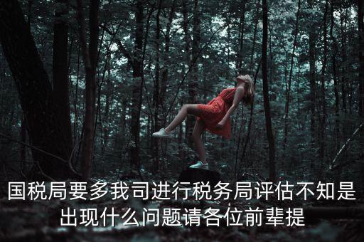 國稅評估局是干什么的，國稅局是做什么的說簡單點兒吧謝謝