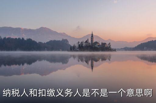 稅務(wù)人是什么，什么是納稅義務(wù)人