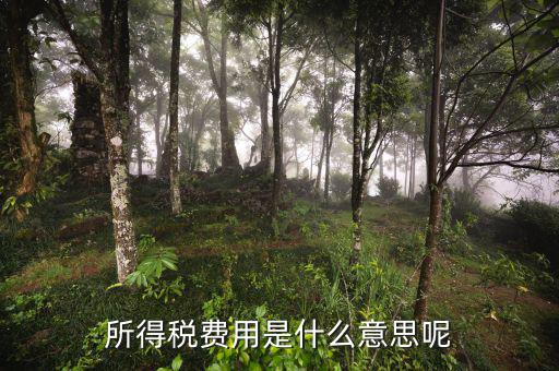 所得稅支出什么意思，企業(yè)所得稅是什么意思