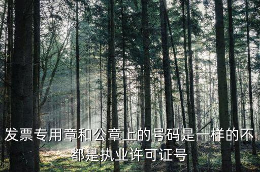 公章和發(fā)票章號(hào)碼是什么，發(fā)票專用章和公章上的號(hào)碼是一樣的不都是執(zhí)業(yè)許可證號(hào)
