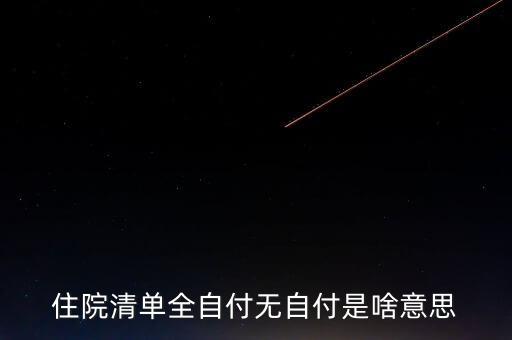 清單不增付是什么意思，希望有人幫我解決下 醫(yī)院的消費(fèi)清單里的自付比例是什么意思
