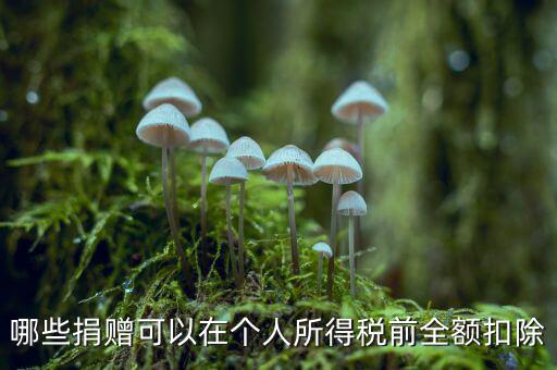 什么捐贈(zèng)可以稅前扣除，求助企業(yè)在所得稅前可以扣除的捐贈(zèng)支出