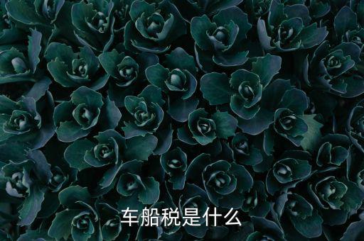 車(chē)船稅是什么